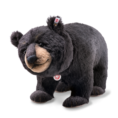 Mr. Big Schwarzbär