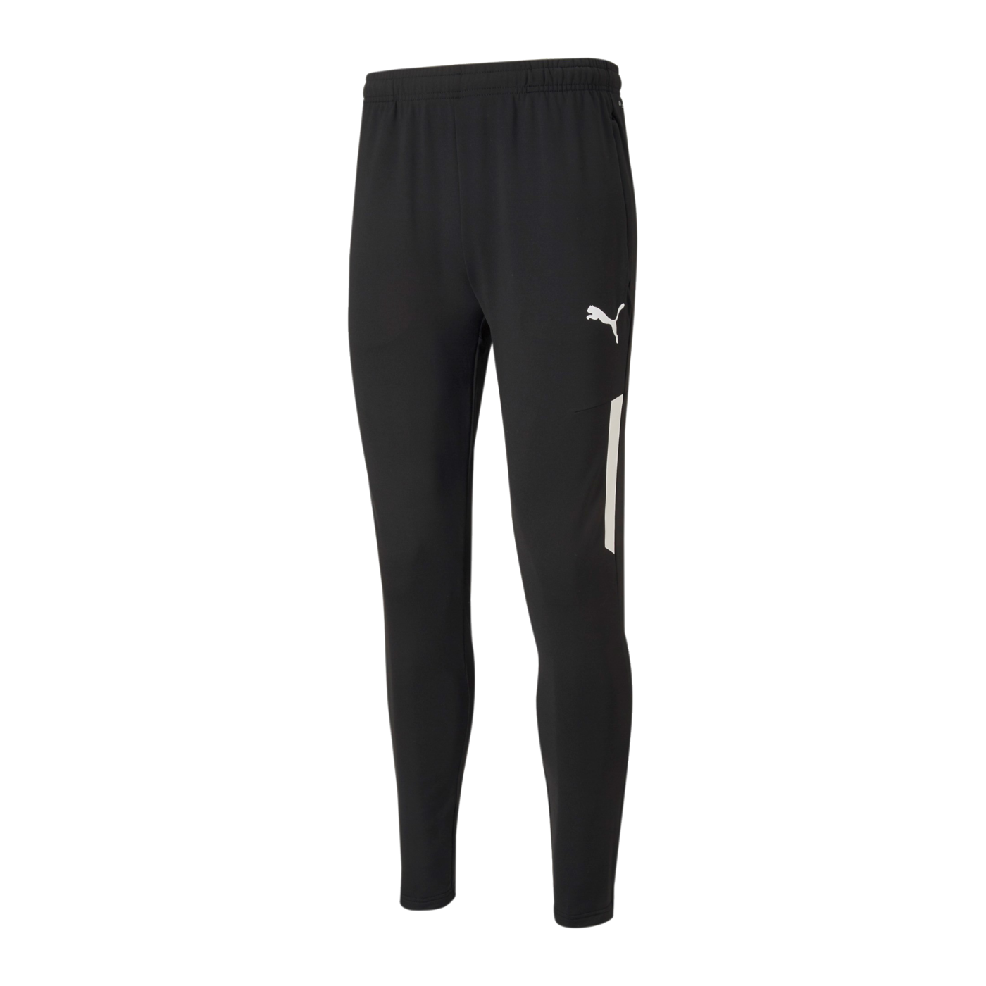PUMA teamLIGA Pro Trainingshose Schwarz F03