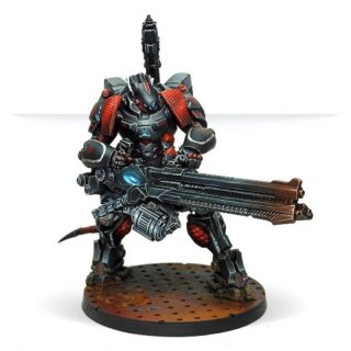 Infinity CodeOne: Szalamandra Squadron