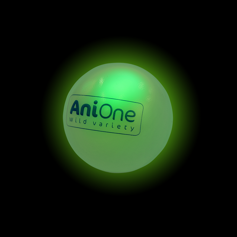 AniOne Spielmäuse & Bälle AniOne Leuchtball 2 Stück
