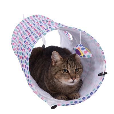 Katzentunnel Dottie