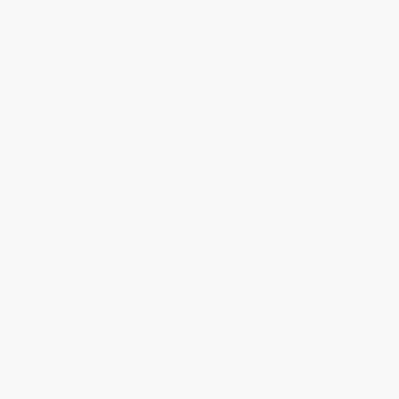 Plid Premium Holzfarbe Holzlack Farbe für Holz Pinsel Weiß