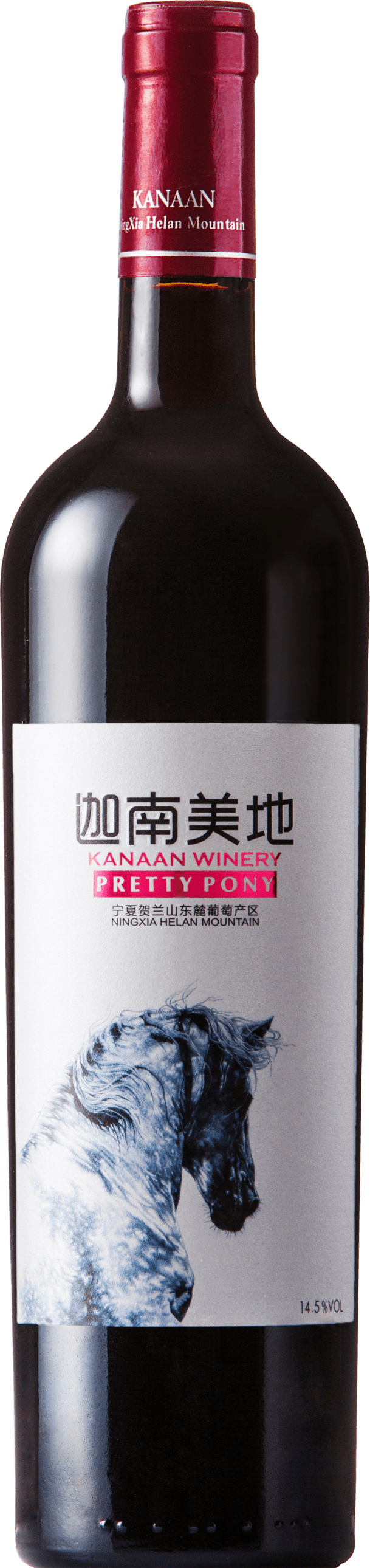 Pretty Pony 2019