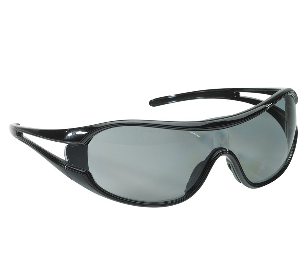 Schutzbrille e.s.vision