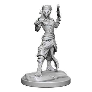 D&D Nolzur's Marvelous Miniatures: Shifter Fighter (2)
