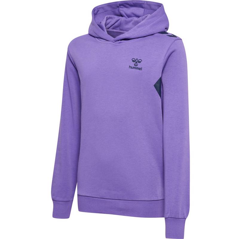 hummel hmlSTALTIC COTTON HOODIE KIDS Sweatshirt Kinder