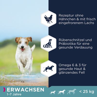 Eukanuba Grain Free Adult Small / Medium Breed mit Lachs