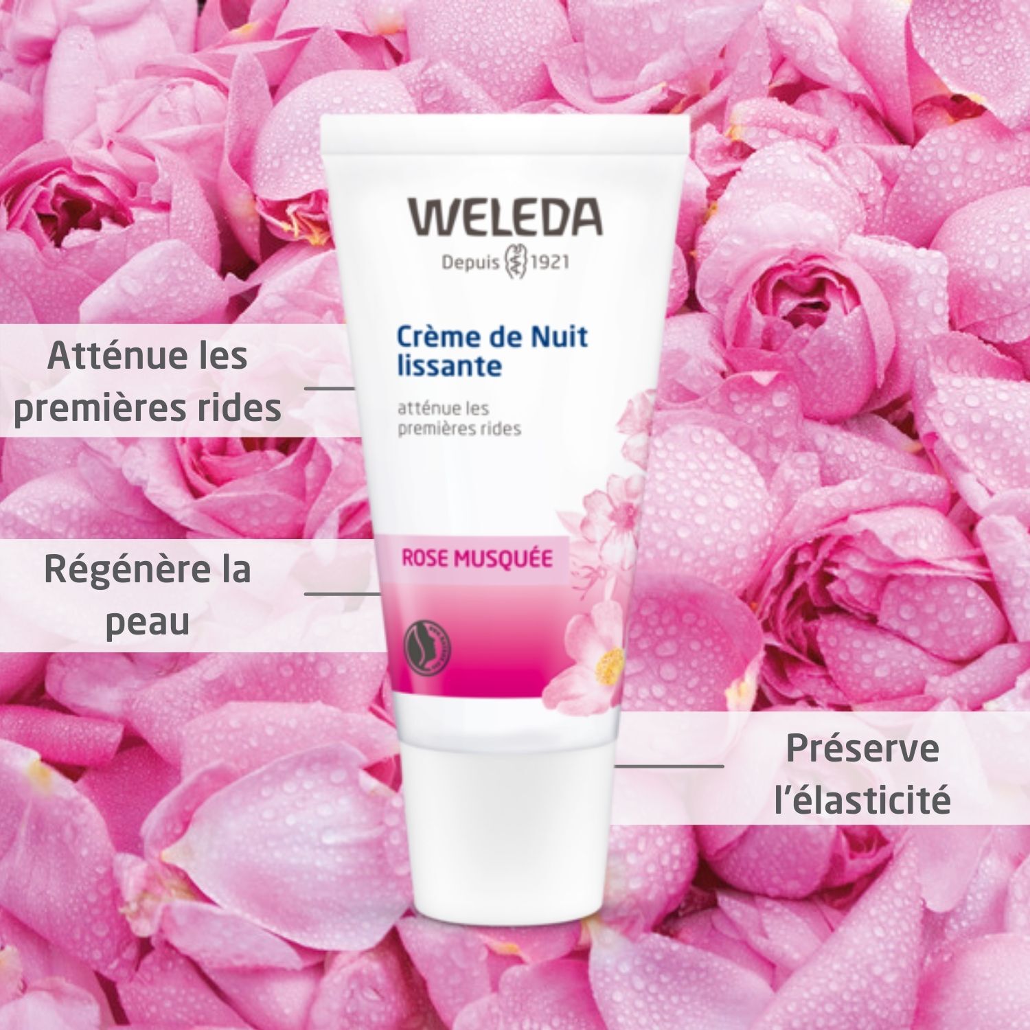 Weleda Rose Musquée Crème de Nuit Lissante - Atténue les Premières Rides - 30 ml