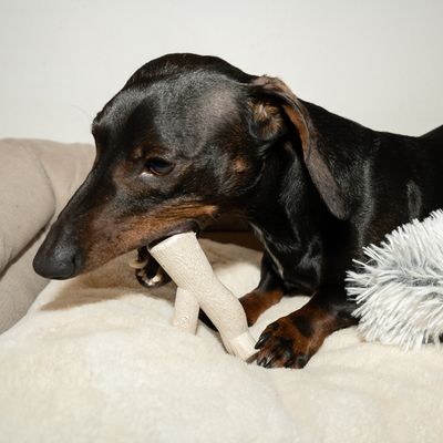 Nomad Tales Calma Hundespielzeug Maisstroh-Ast