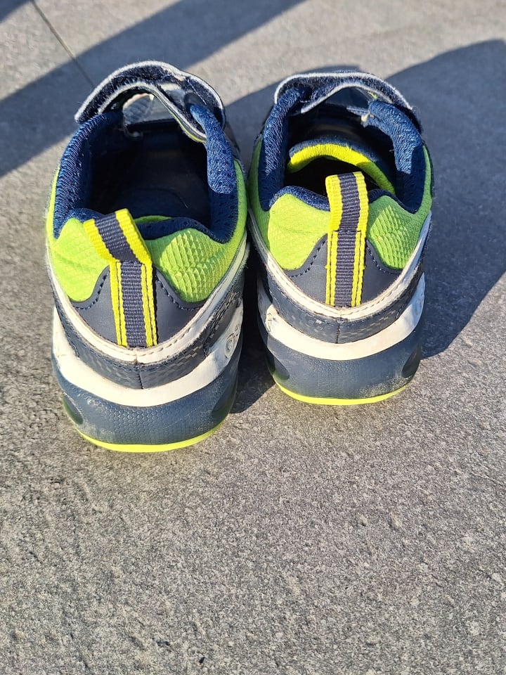 Geox Sneakers 