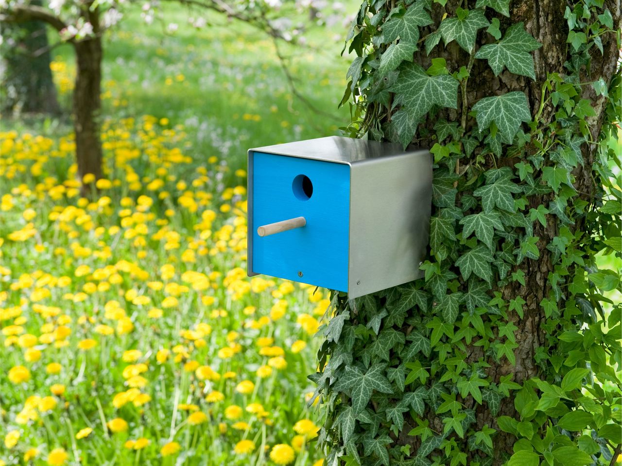 Keilbach Designprodukte Keilbach Nistkasten, Edelstahl, blaue Holzfront