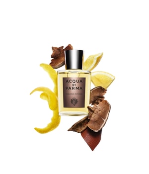Acqua di Parma Colonia Intensa Eau de Cologne 100 ml