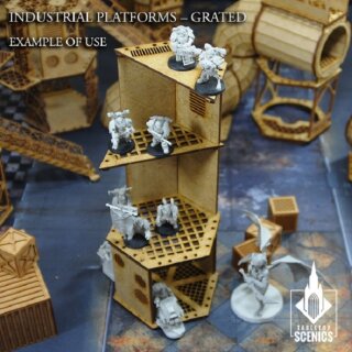 Industrial Platforms Grated