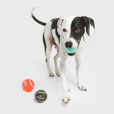 Nomad Tales Bloom Tennisball-Set