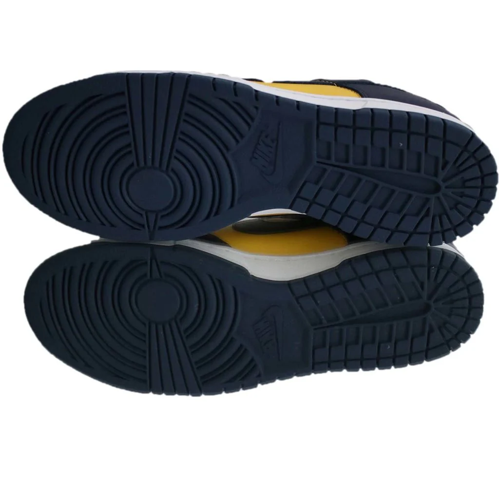 Nike Dunk Low Michigan (2021)