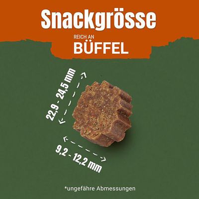 PURINA Adventuros Reich an Büffel mit Urkorn