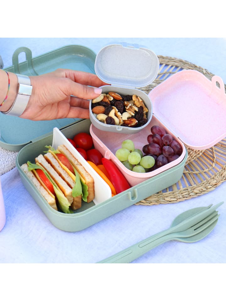 koziol PASCAL MINI - Lunchbox in organic red günstig kaufen onesize