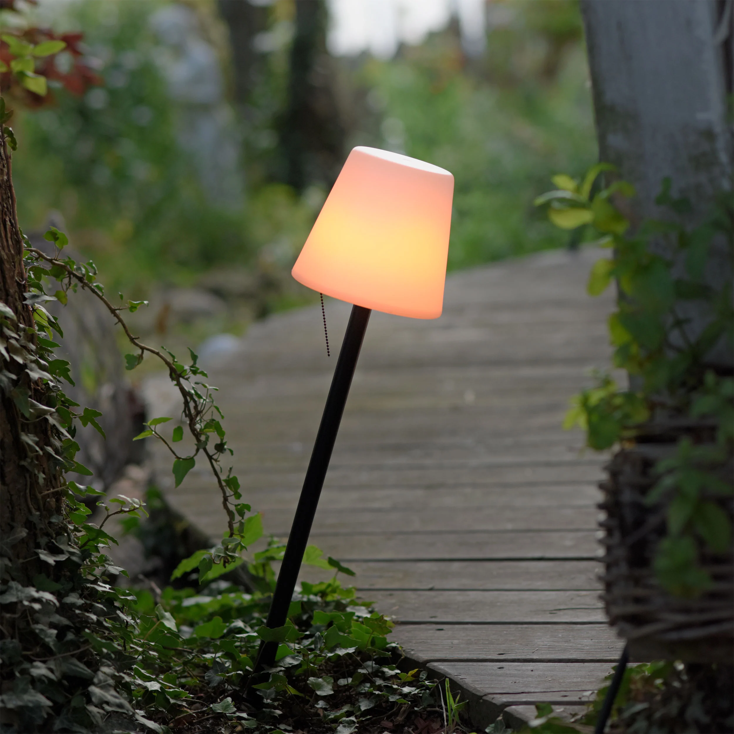 JUST LIGHT.LED-Akku-Tischleuchte 1 flg