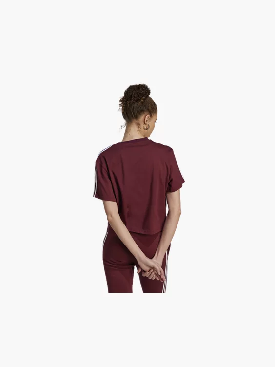 adidas Crop T-Shirt