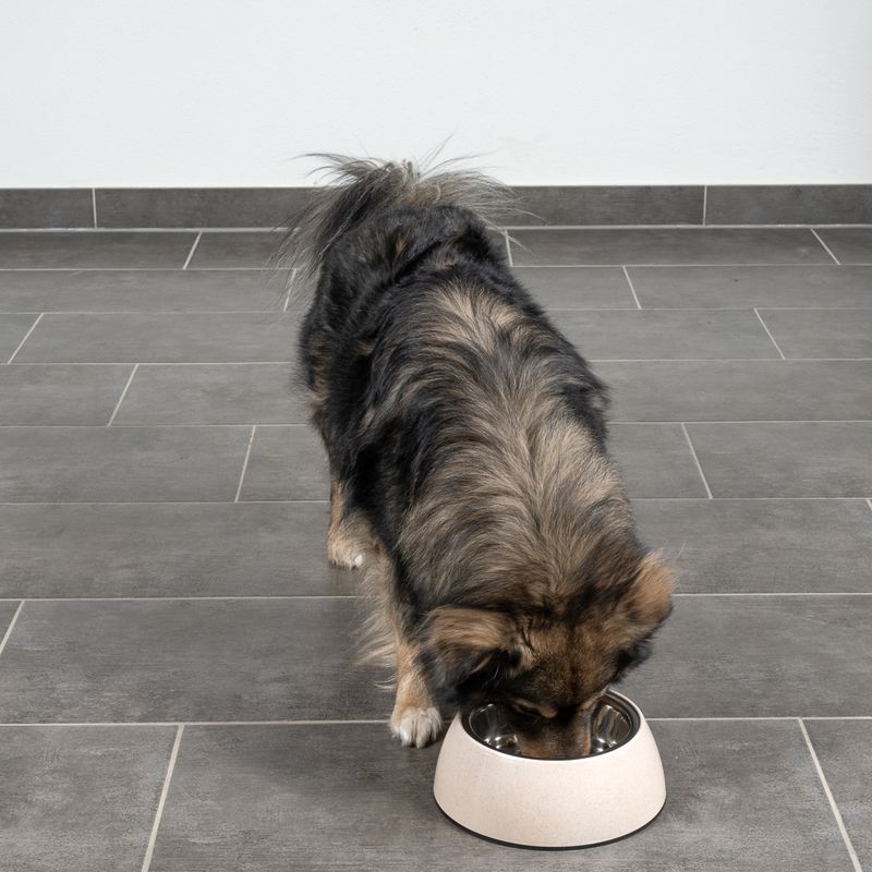 Modern Living Bio-Napf Sichuan für Hunde zu TOP-Preisen | bitiba