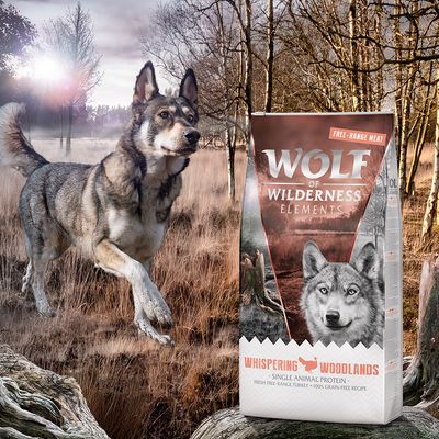 2 x 12 kg Wolf of Wilderness Trockenfutter (Monoprotein) mit Freiland-Fleisch