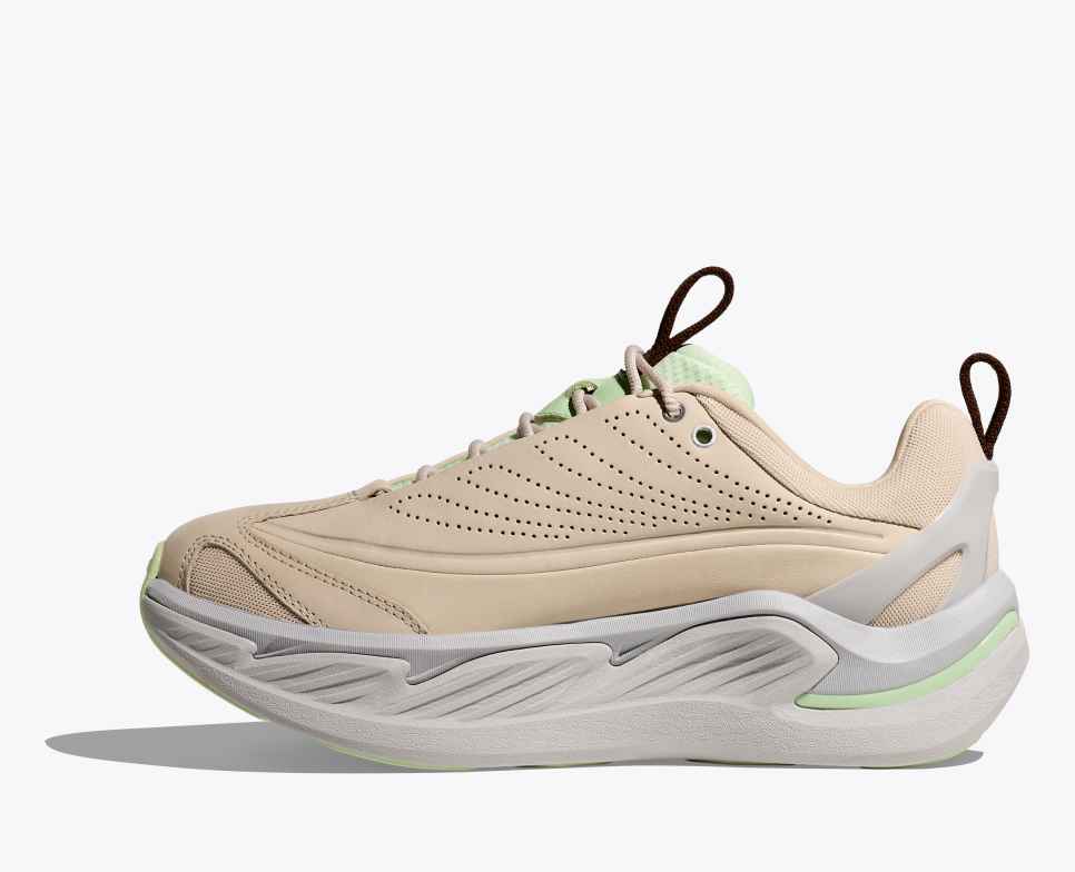 Elevon X Oatmeal / Luna Moth