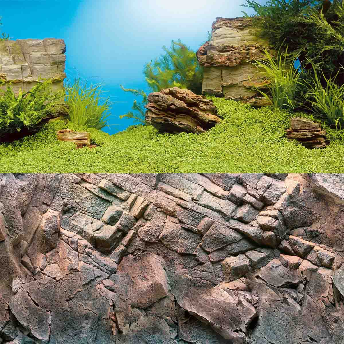 Juwel Rückwand Poster für Aquarium günstig kaufen