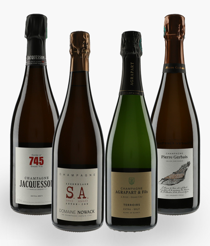 PANACHE DES TERROIRS DE CHAMPAGNE