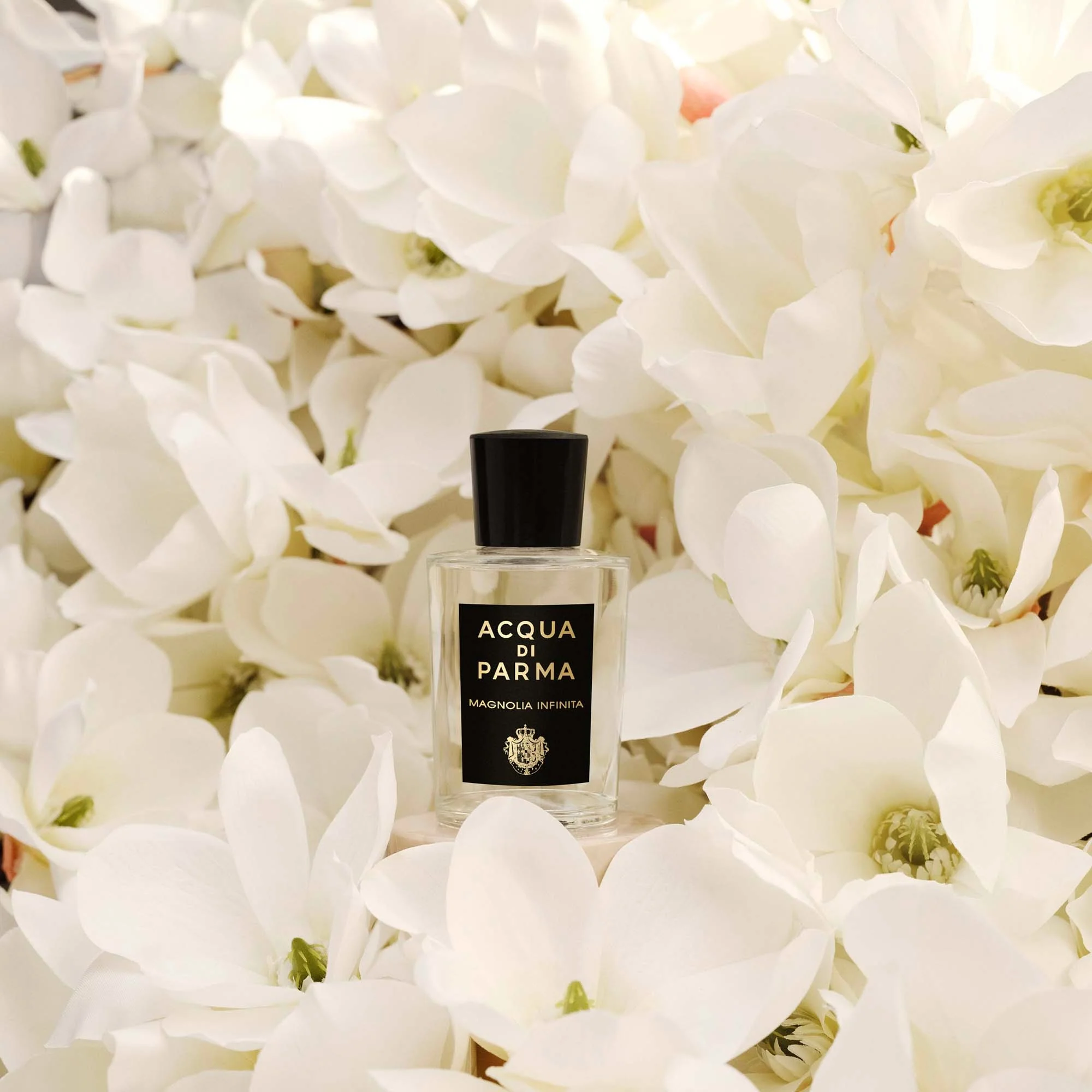 A Nap jelei Magnolia Infinita - Eau de Parfum Unisex, Eau de Parfum