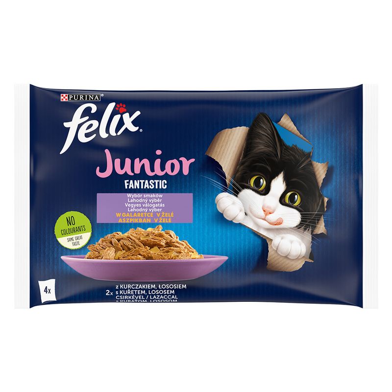 Felix Junior Fantastic Lachs & Huhn zu TOP-Preisen
