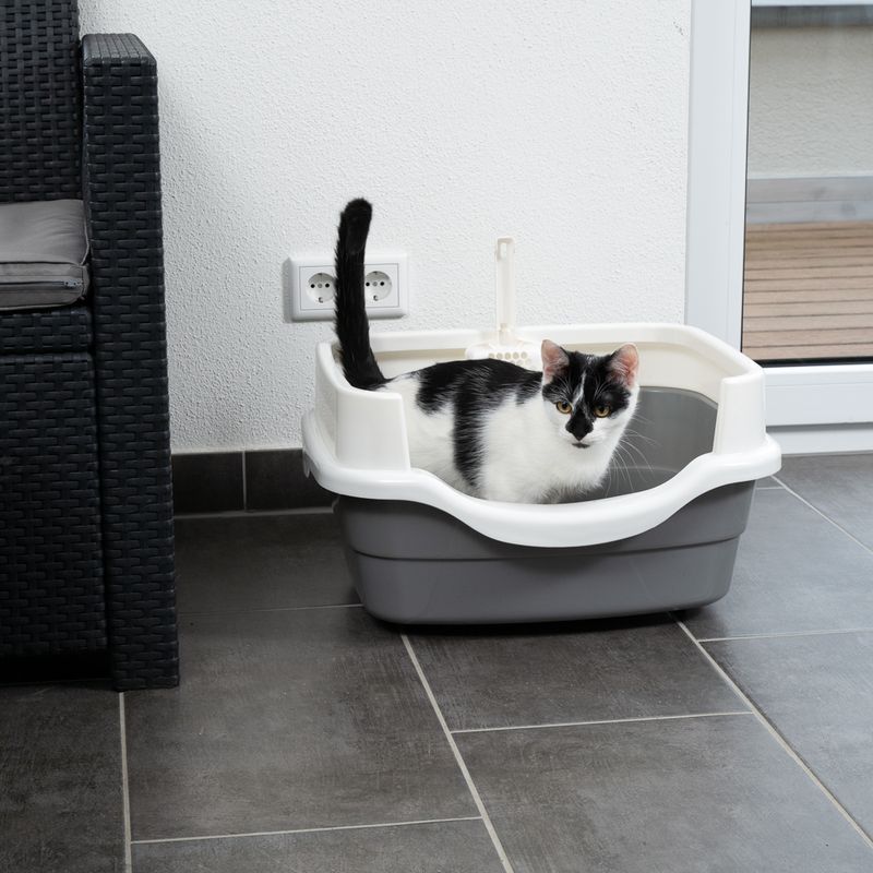 TIAKI Schalentoilette Stormy zu TOP-Preisen