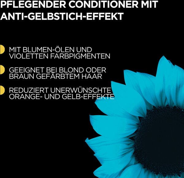 Garnier Conditioner