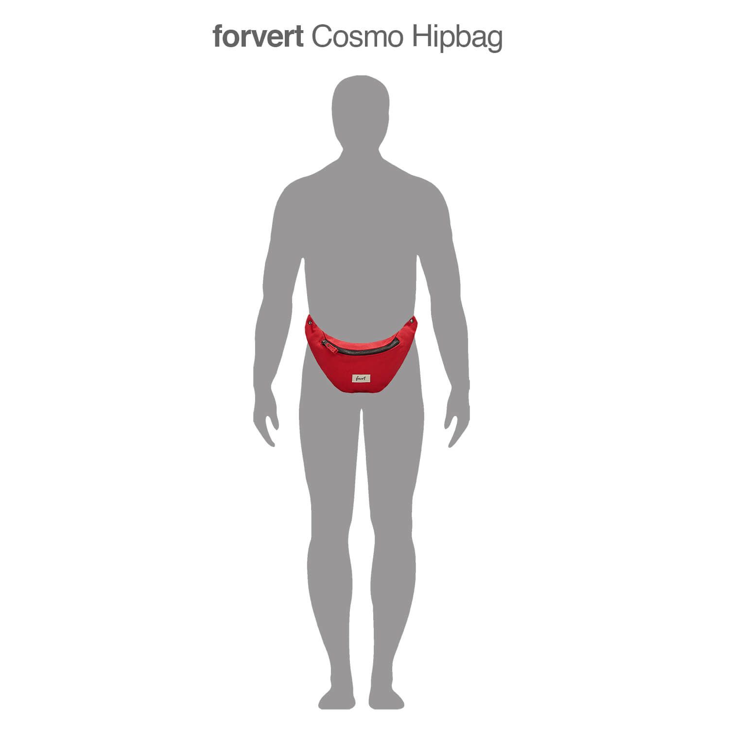 Cosmo Hipbag