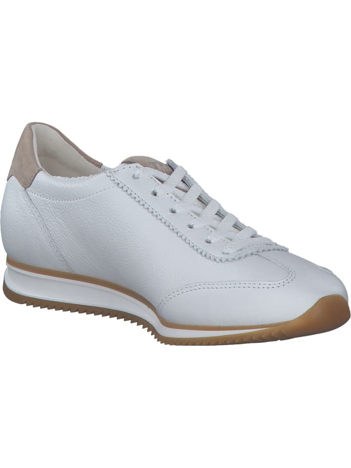 Paul Green Schnürschuhe in WHITE/ANTELOPE günstig kaufen