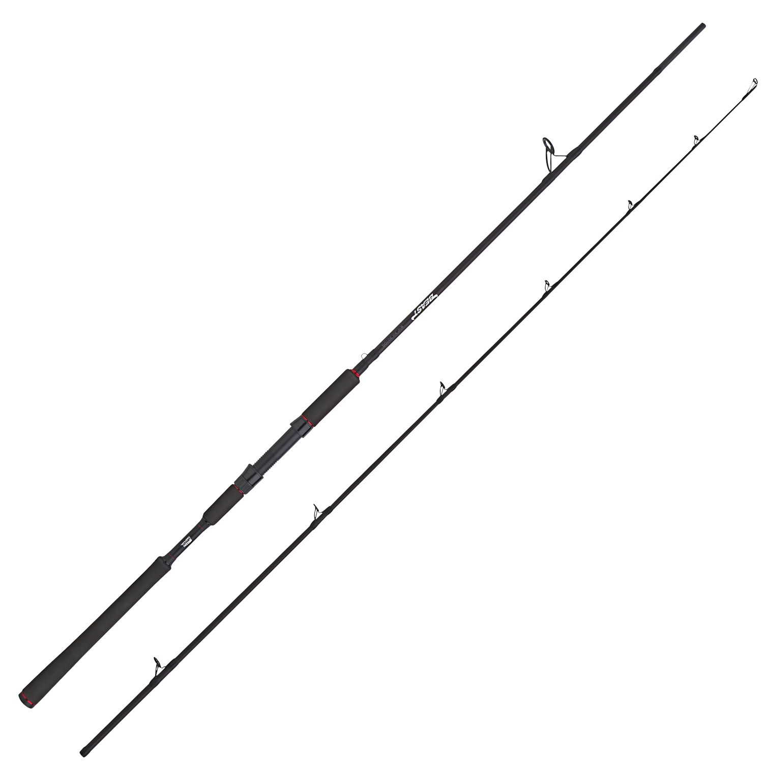Abu Garcia Raubfischruten Beast Spinning