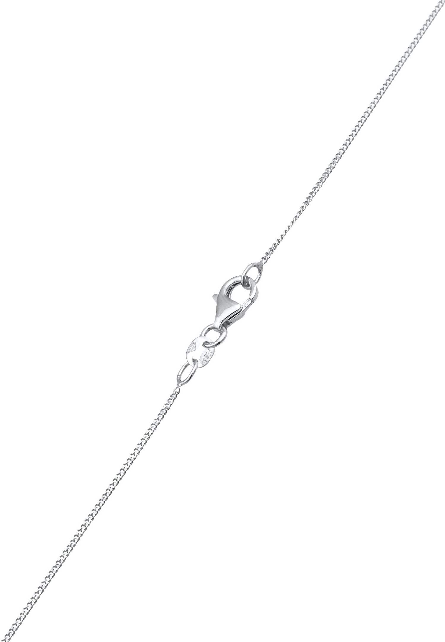 Dámsky náhrdelník Elli Elli, prívesok s ďatelinou, retiazka, brnenie, zirkón, biely diamantový brus, striebro 925, 45 cm