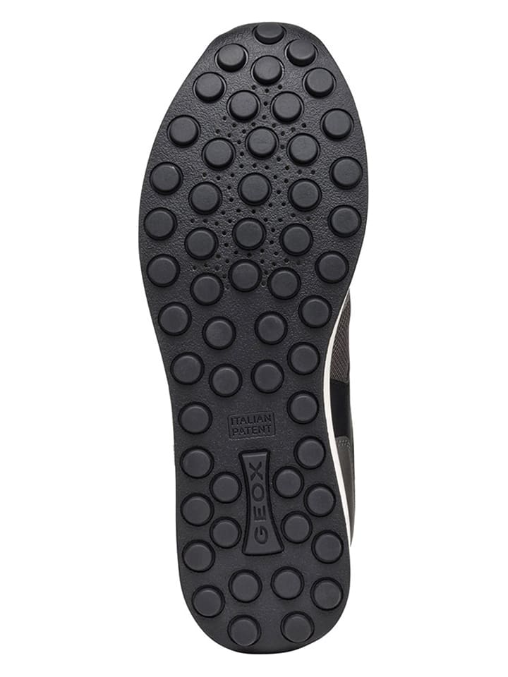 Geox Sneakers 