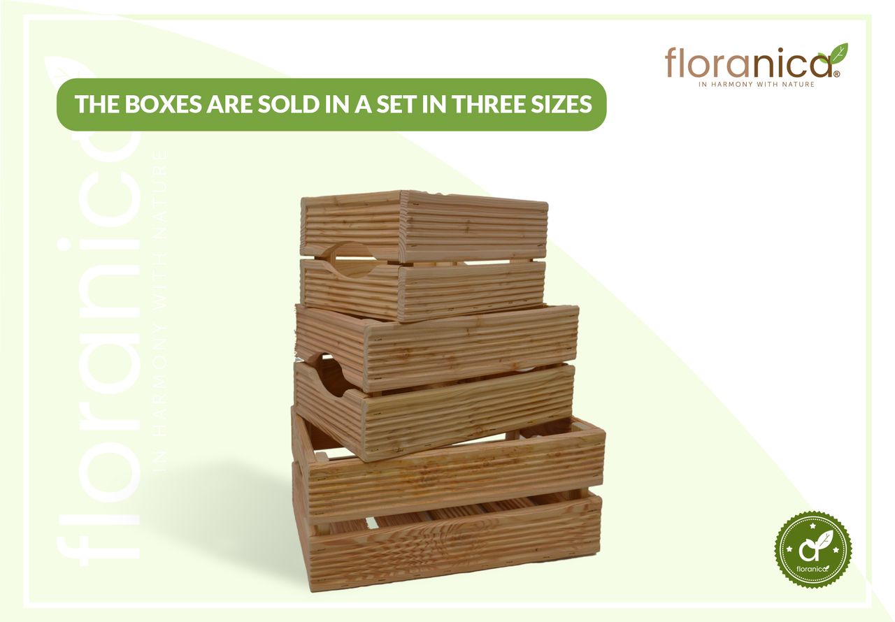 Pemicont Floranica Holzkiste Lärche nicht imgrägniert 3er Set Gartendeko Aufbewahrungsboxen Obstkisten Blumentopf Holz Kiste Spielzeugkiste