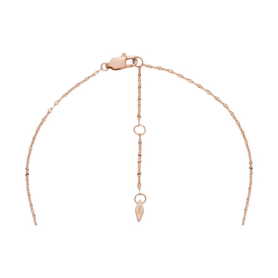 Fossil Kette