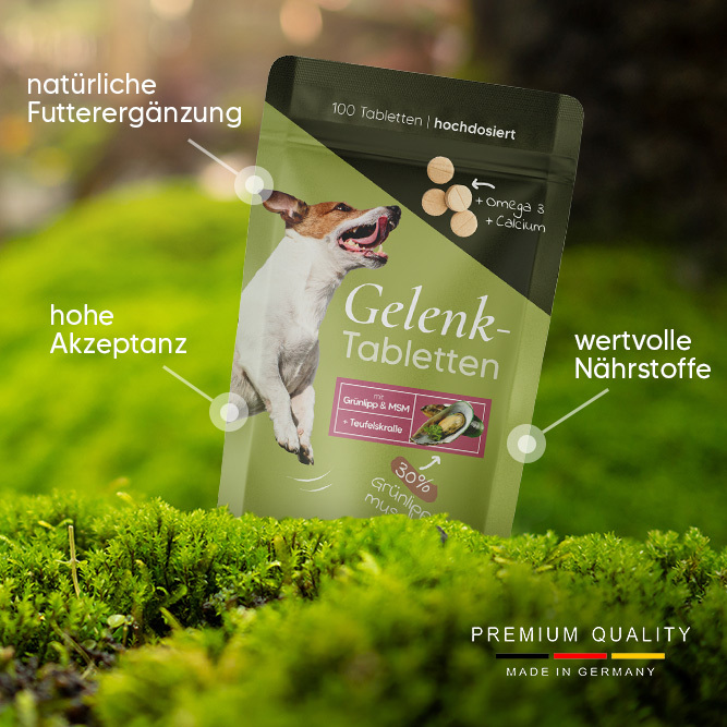 Pawlie's Ergänzungsfutter & Aufzucht Pawlie's Gelenk Fit Tabletten Hund (100 Stück)