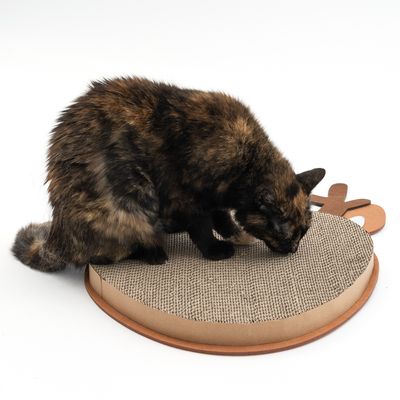 TIAKI Kratzboard Rentier aus recycelter Pappe