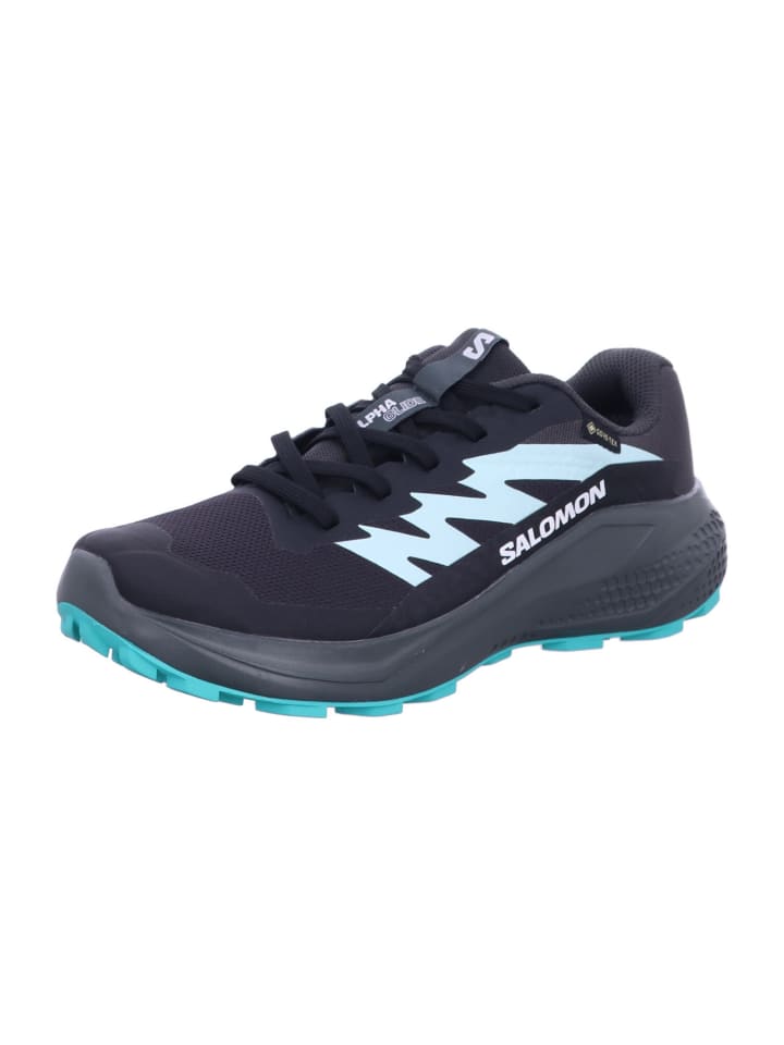 SALOMON Wanderschuhe ALPHAGLIDE GTX W in Grau günstig kaufen