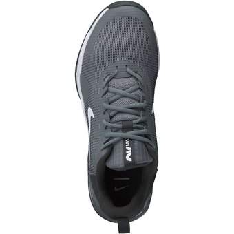 Nike Air Max Alpha Trainer 5 in grau