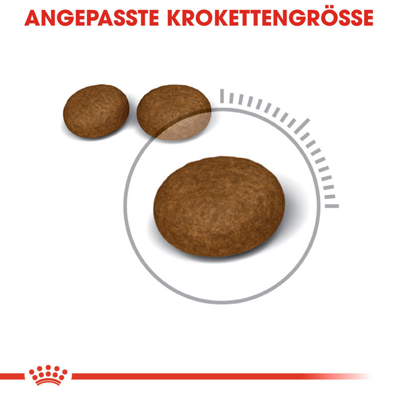 ROYAL CANIN Trockenfutter ROYAL CANIN Hair & Skin Care 2x10 kg