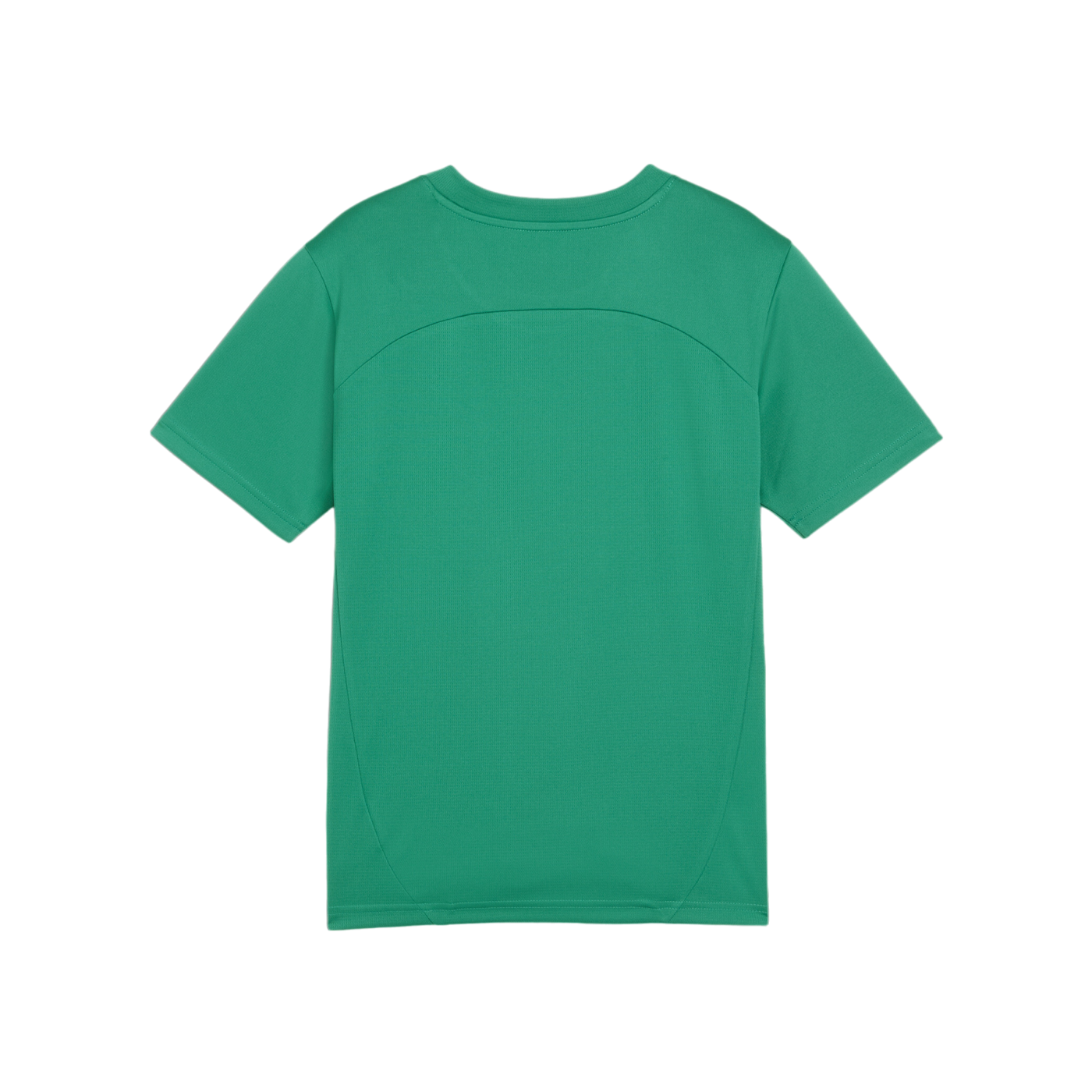 PUMA teamFINAL Trikot Kids Grün F05