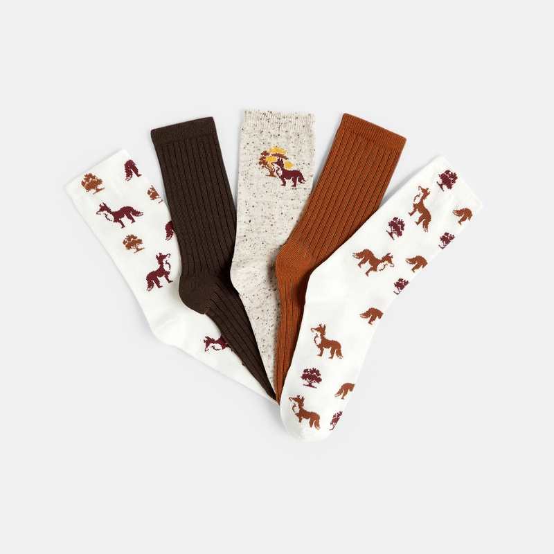 Chaussettes fantaisie (lot de 5) multicolores Garçon