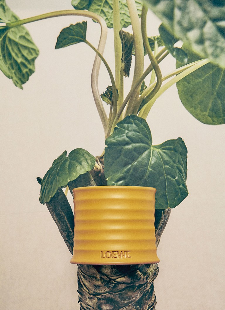 Vela perfumada LOEWE Wasabi - 170 gramas