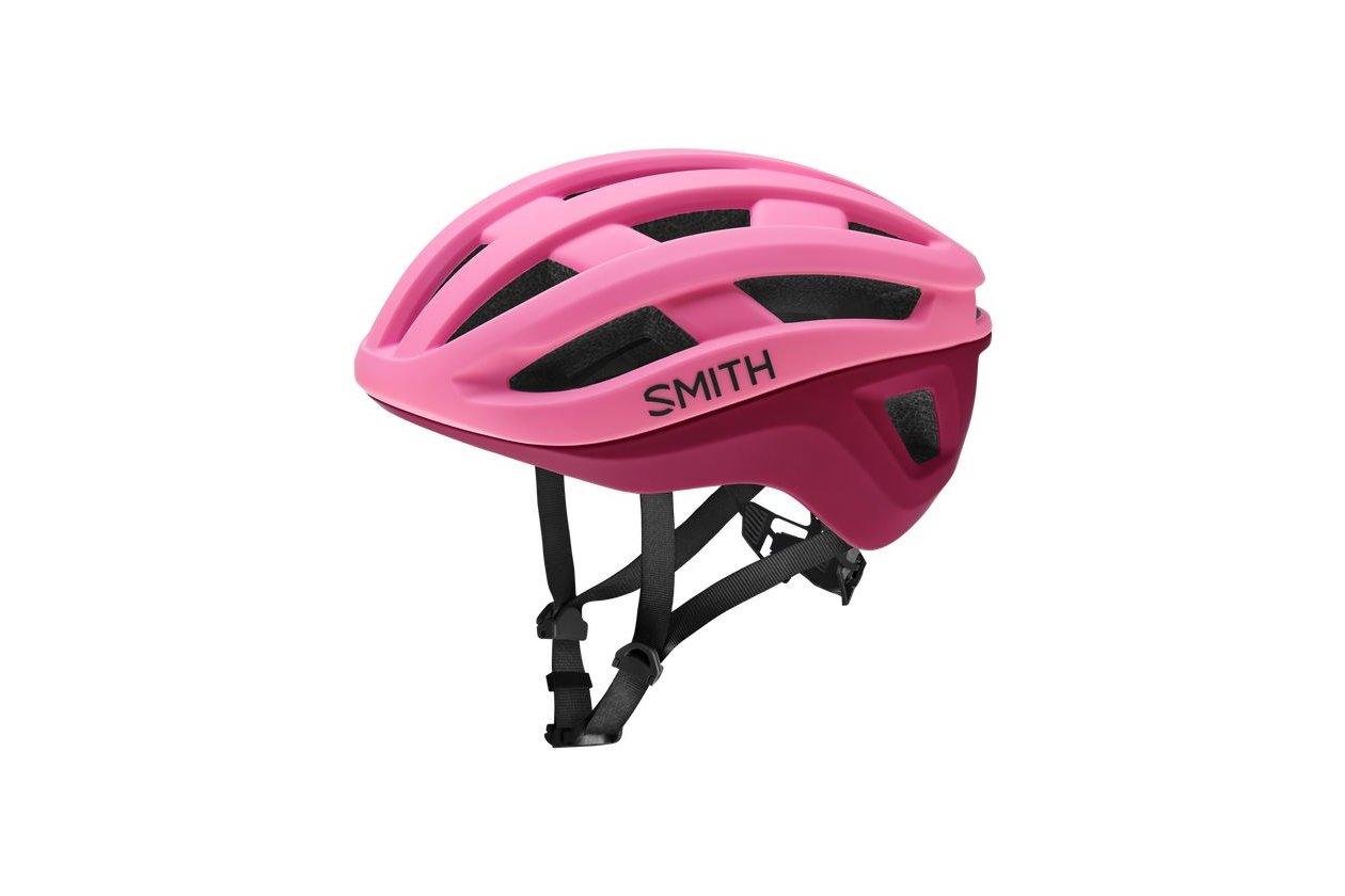 Smith Persist MIPS