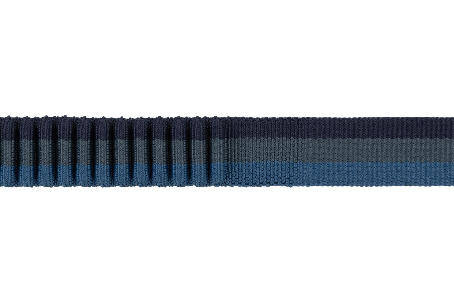 Ruffwear Hundeleinen Ruffwear Bungee Joggingleine Roamer™ blau/ blau L