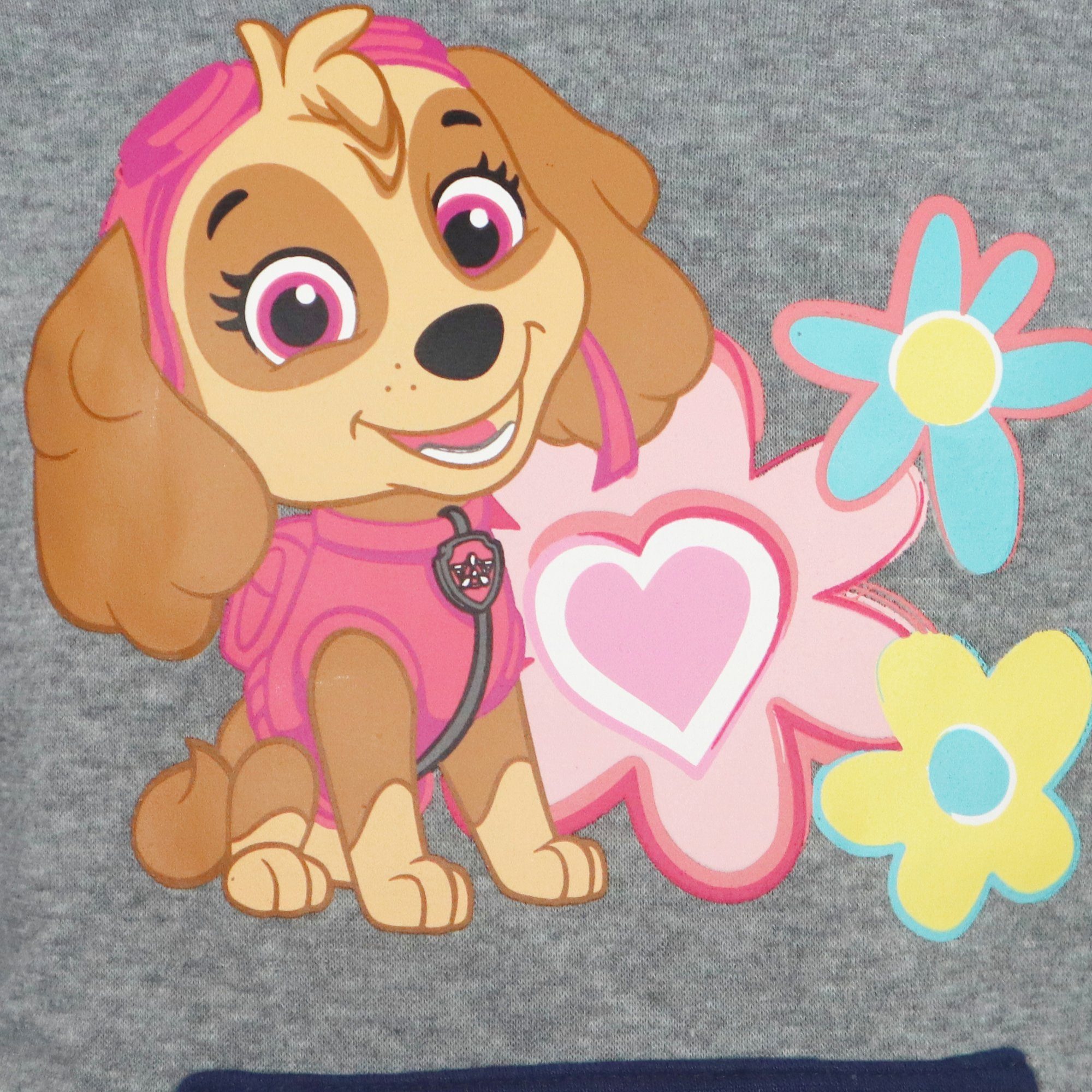 PAW PATROL Kapuzenpullover Paw Patrol Skye Kinder Hoodie Pullover Gr. 92 - 116